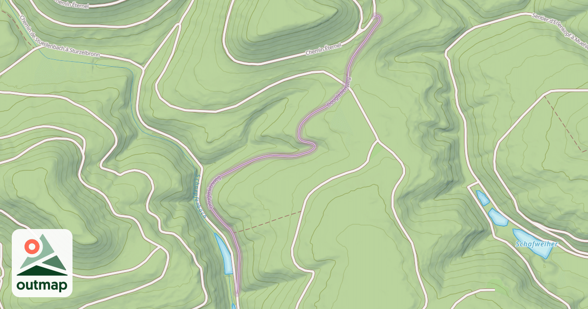 Map of Douglasienweg