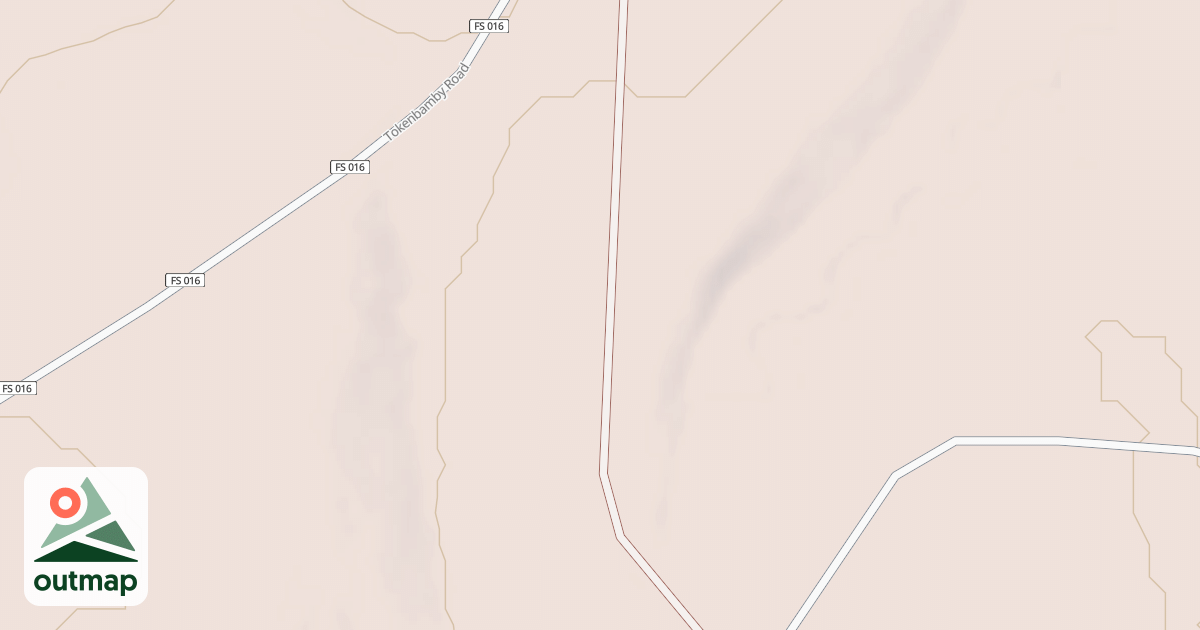 Map of BLM National GTLF Public Motorized Roads 002d90fb-f4df-4236-b78b-1b54c7b997e0