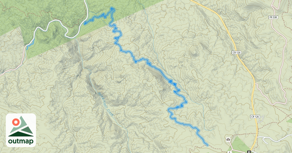 Map of Nice Kitty 768