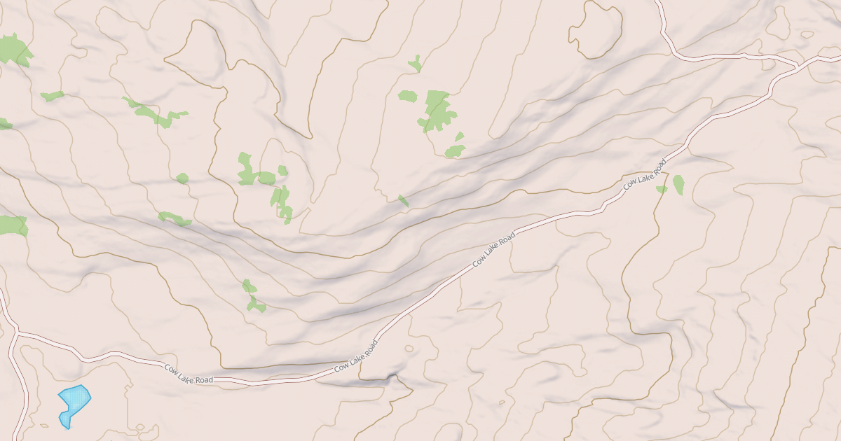 Map preview of COW LAKE