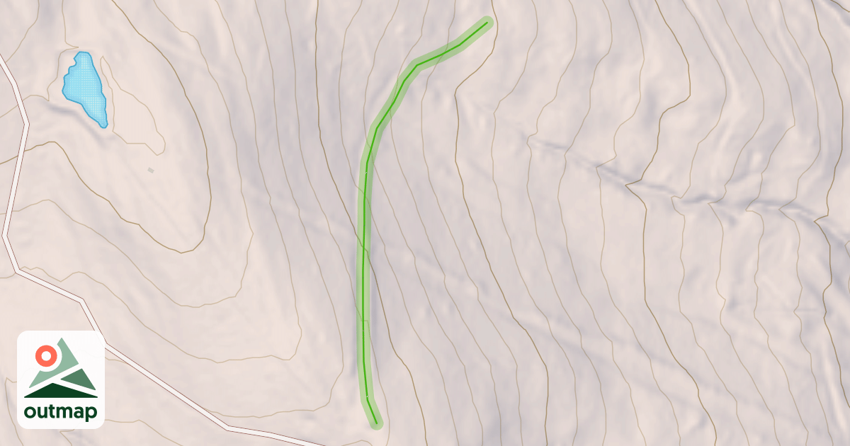 Map of Joyce's Cat Walk