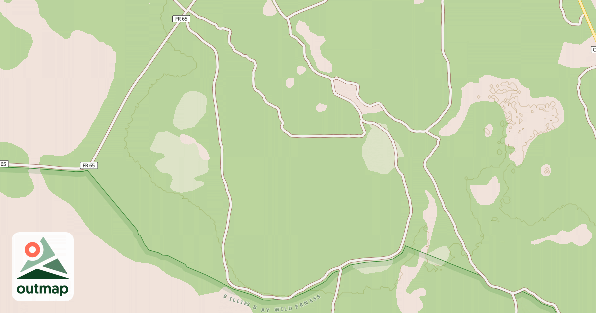 Map of USFS Motor Vehicle Use Map Roads {6469141F-E271-4282-965F-9561D0A731D2}