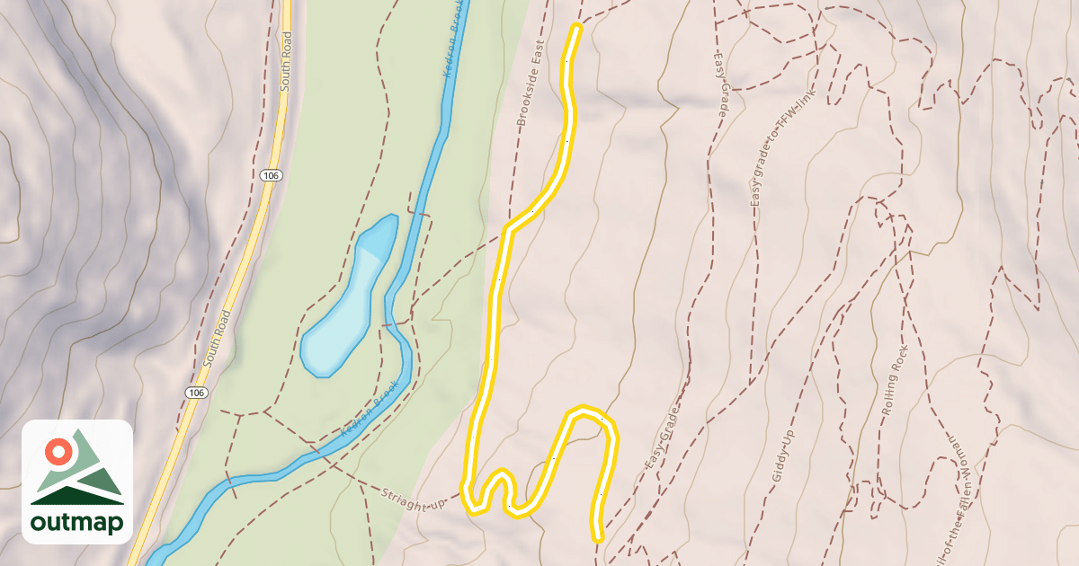 Map of Alder patch