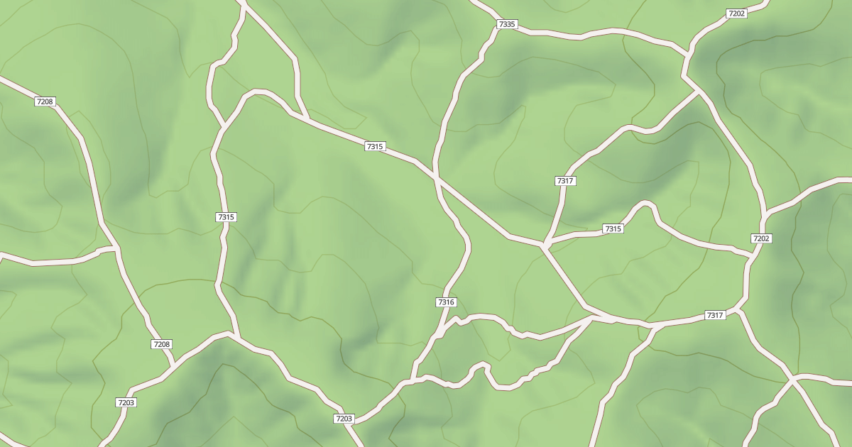 Map preview of USFS Motor Vehicle Use Map Trails 19698