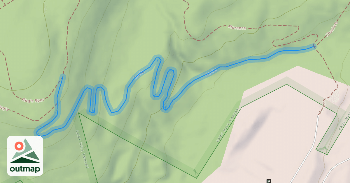 Map of Snake
