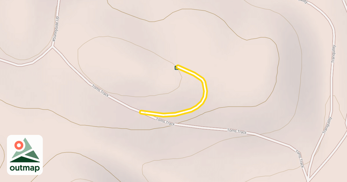 Map of Musterers Cut