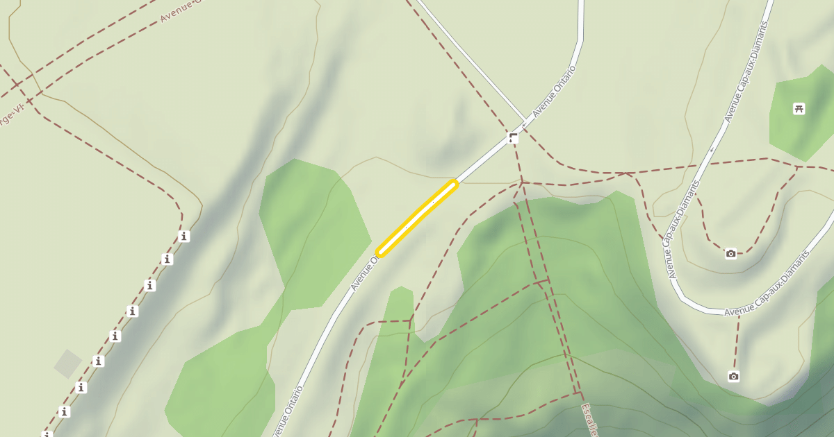 Map preview of Avenue Ontario