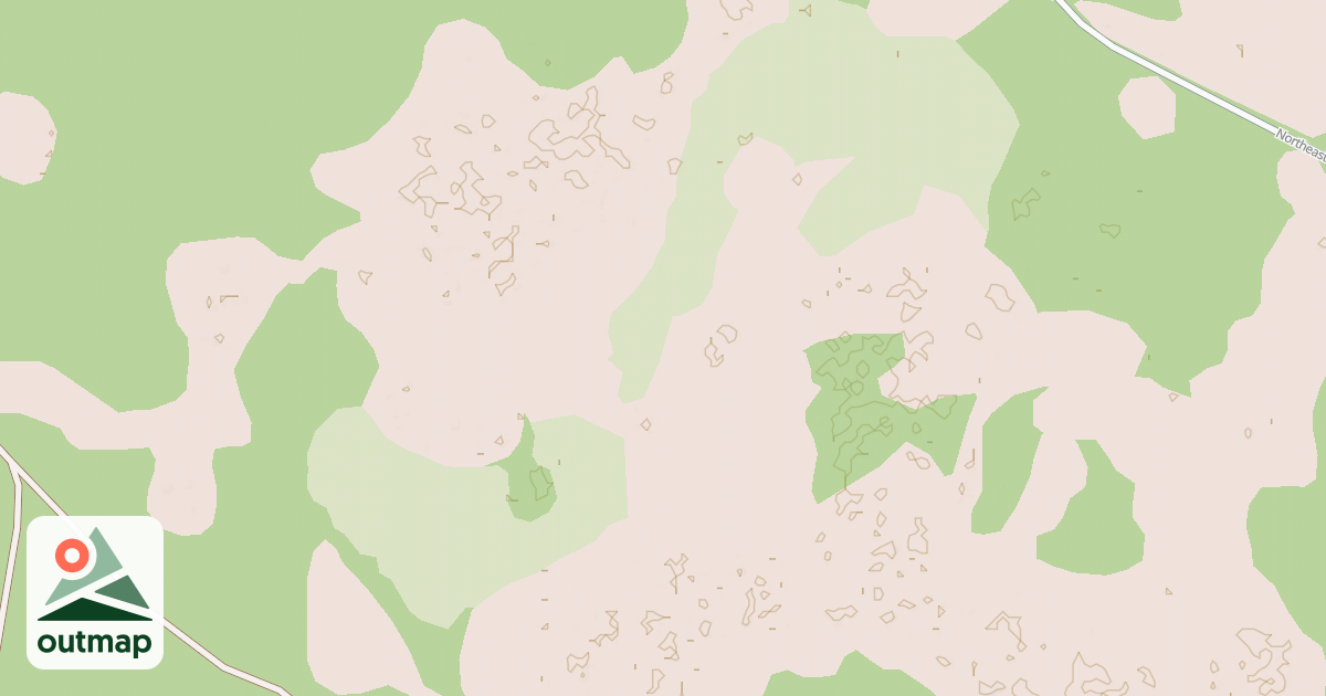 Map of USFS National Forest System Roads {D99FBA38-93A8-4032-94AE-8EEBE21DF998}