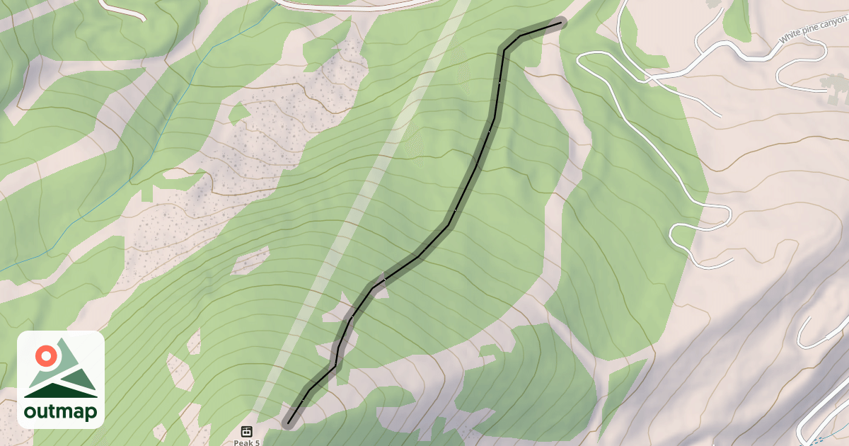 Map of Mystic Pines