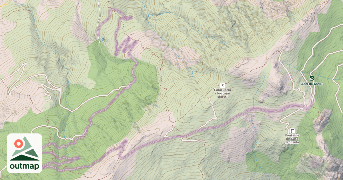 Map of Forêt communale de Calacuccia - Route de Casartine