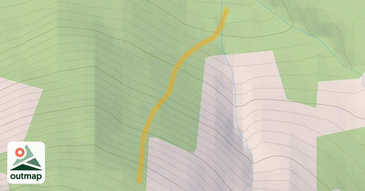 Map of Boogie Woogie