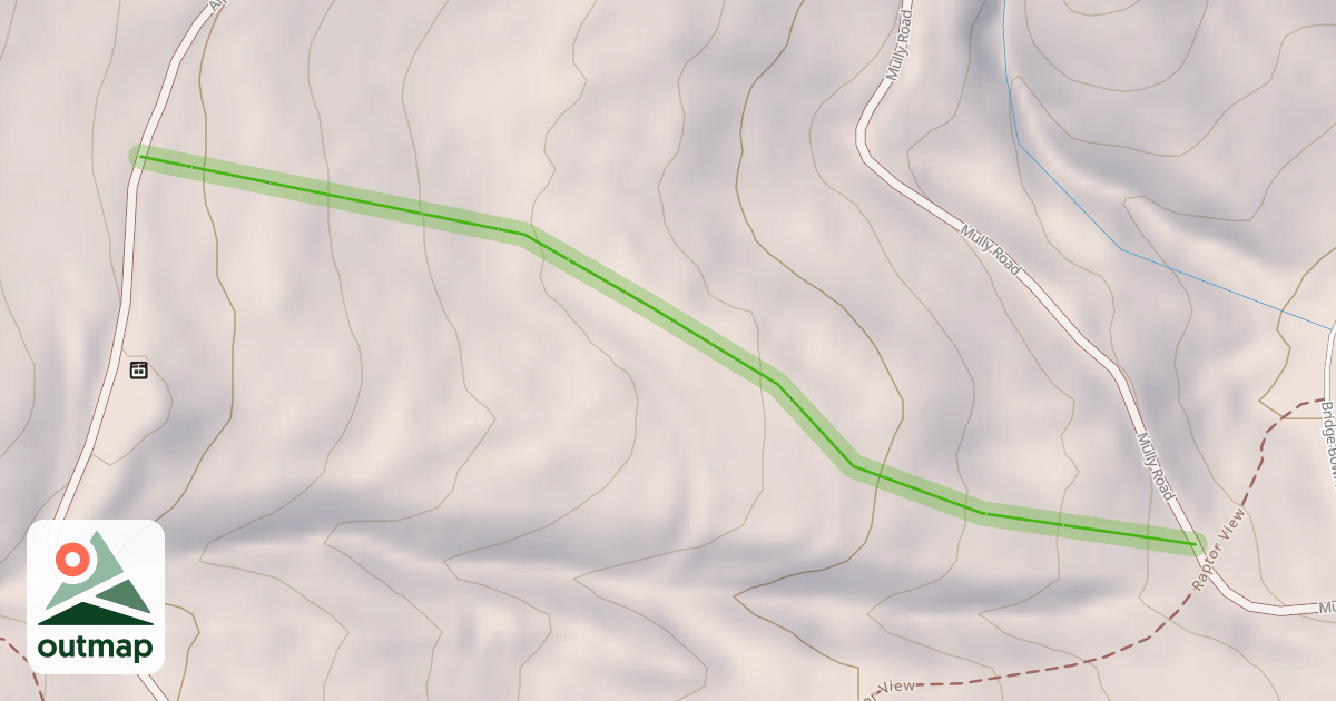Map of Mogul Mouse