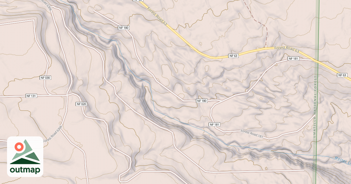 Map of USFS National Forest System Roads {1BE30A1E-3D5C-4373-BE5B-9CD697739BEE}