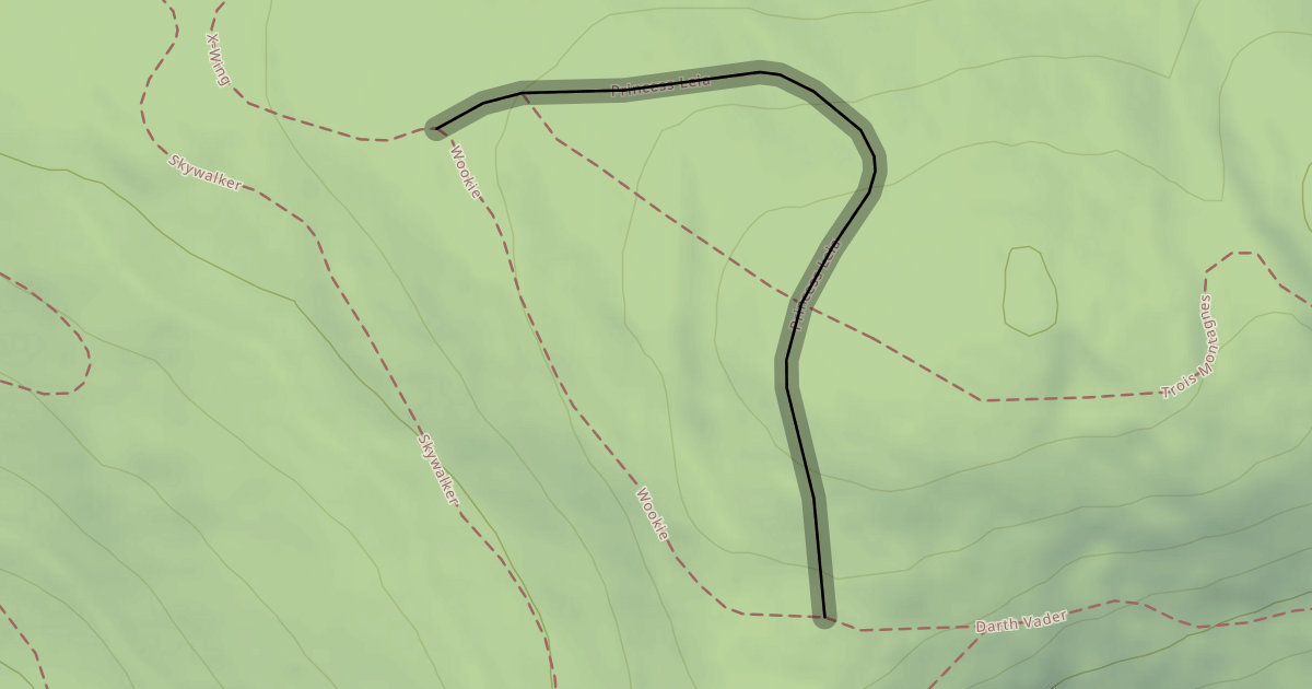 Map preview of Princess Leia