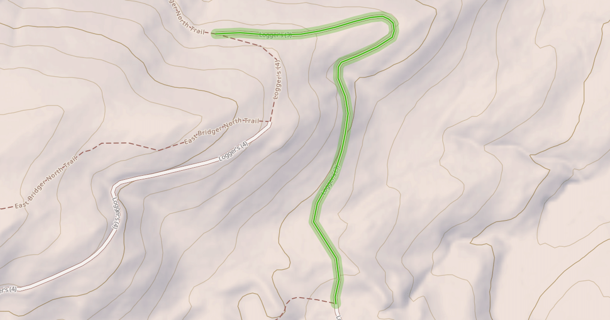 Map preview of Logger's (3)