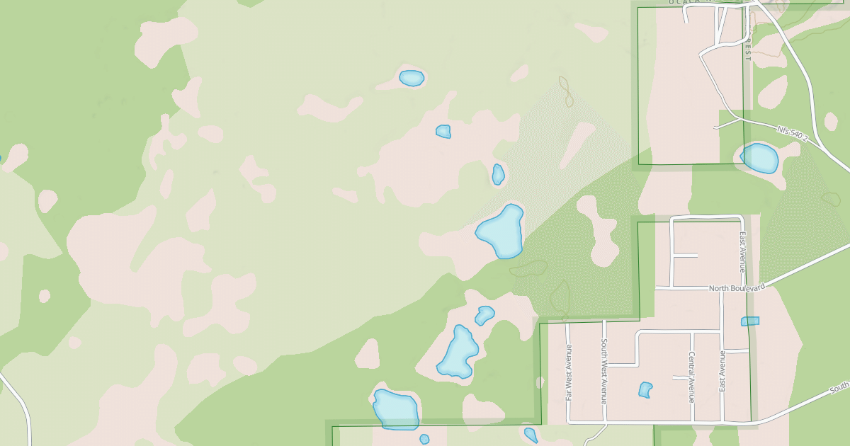 Map preview of USFS National Forest System Roads {59E546B1-6B37-46A5-A5D2-1521B7D933AB}