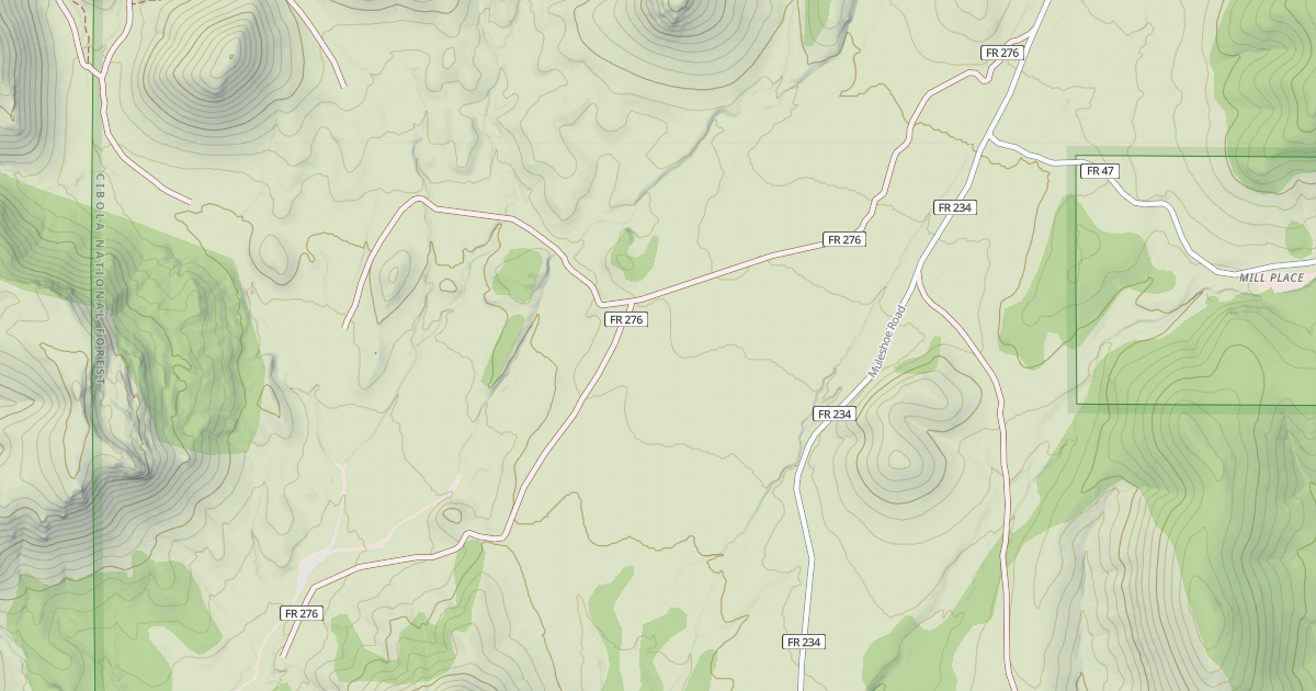 Map preview of USFS National Forest System Roads {EABE1BFA-5DDB-4C8C-B5F9-8E657830A224}