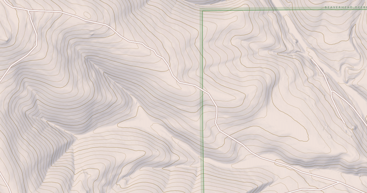 Map preview of USFS National Forest System Roads {81C7CA11-0D1F-4132-A408-CFAF52DCC1D6}