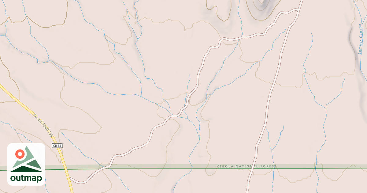 Map of USFS National Forest System Roads {67BF899A-888B-46EF-8263-0FD49BCFDE7B}