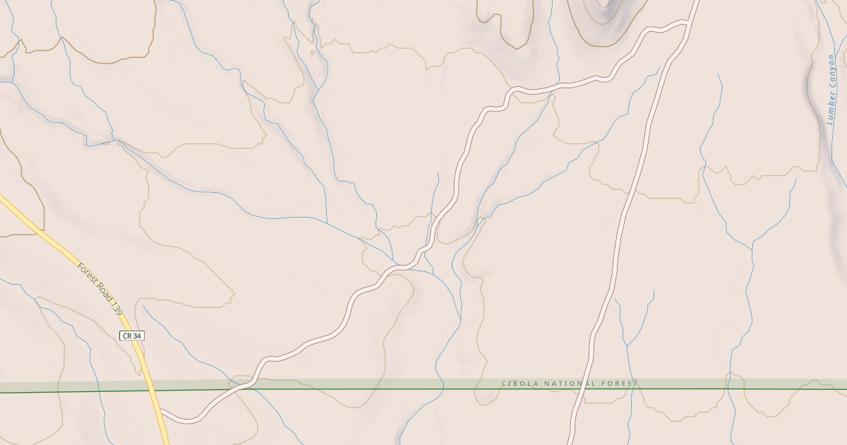 Map preview of USFS National Forest System Roads {67BF899A-888B-46EF-8263-0FD49BCFDE7B}