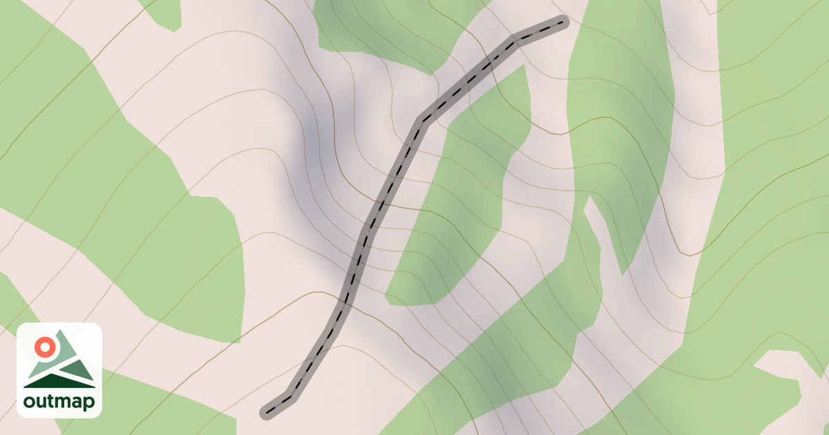 Map of Ronnie's Dream