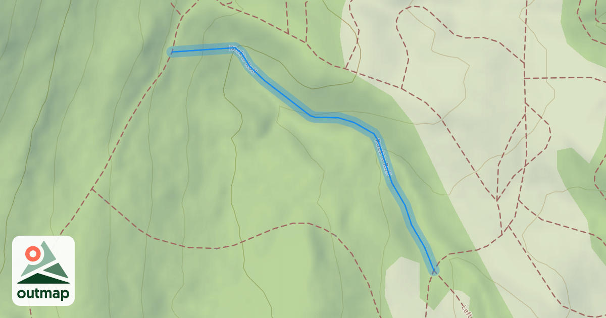 Map of Rock'n Roll