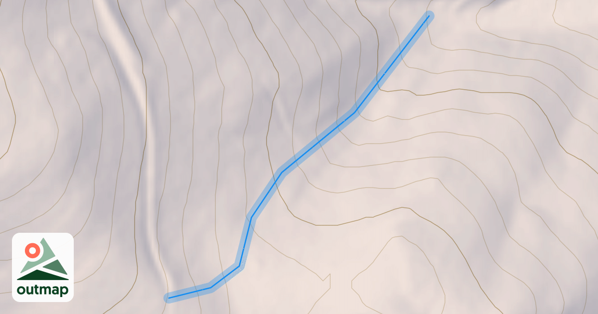 Map of T. Lee