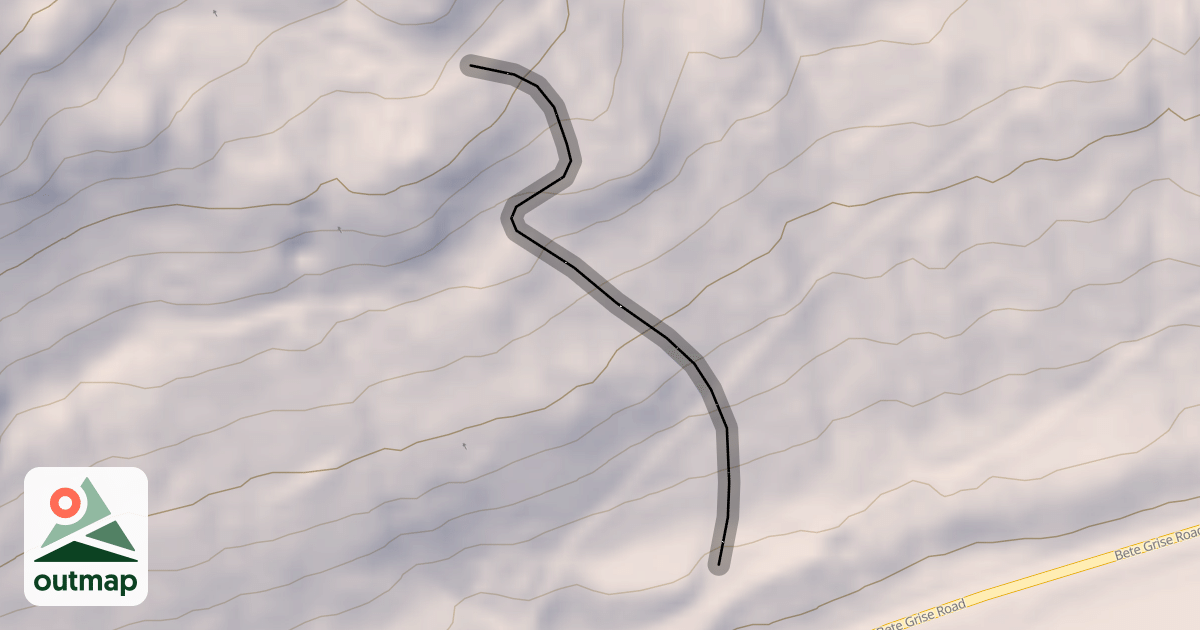 Map of Polar Bear