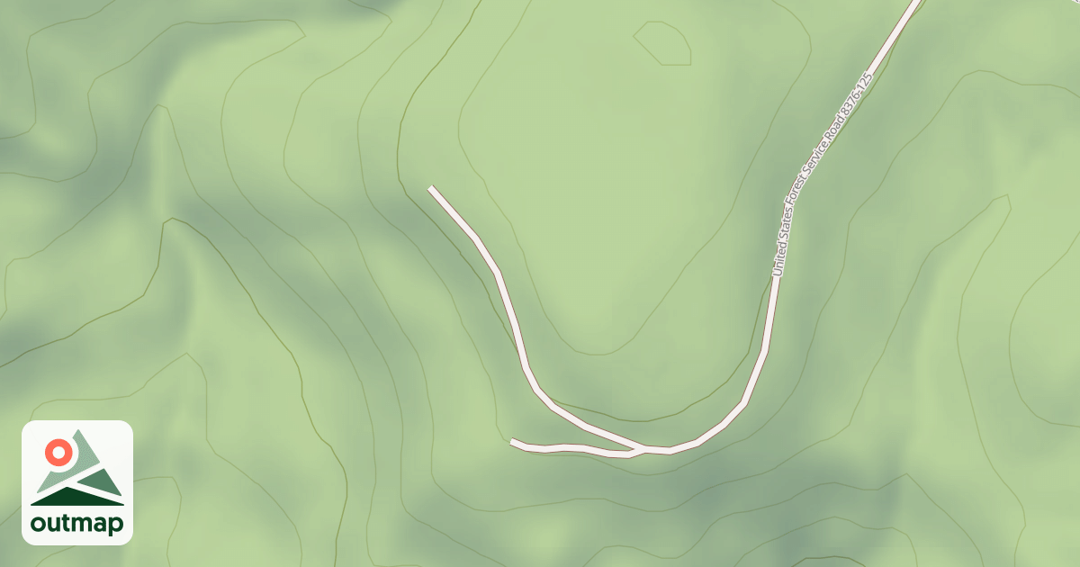 Map of USFS National Forest System Roads {288EFD3E-2666-42C0-B03B-DA81E49DF2A1}