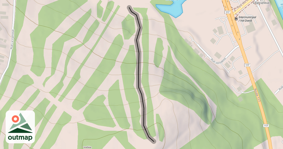 Map of 4. Expert