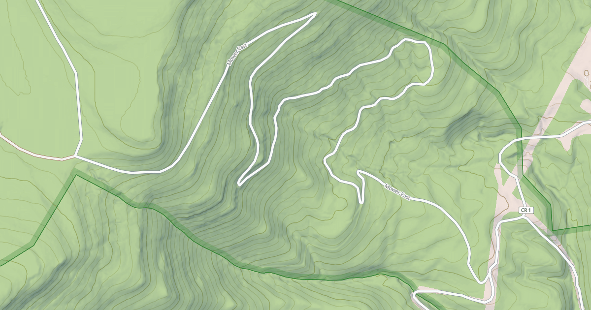 Map preview of MOWER EAST