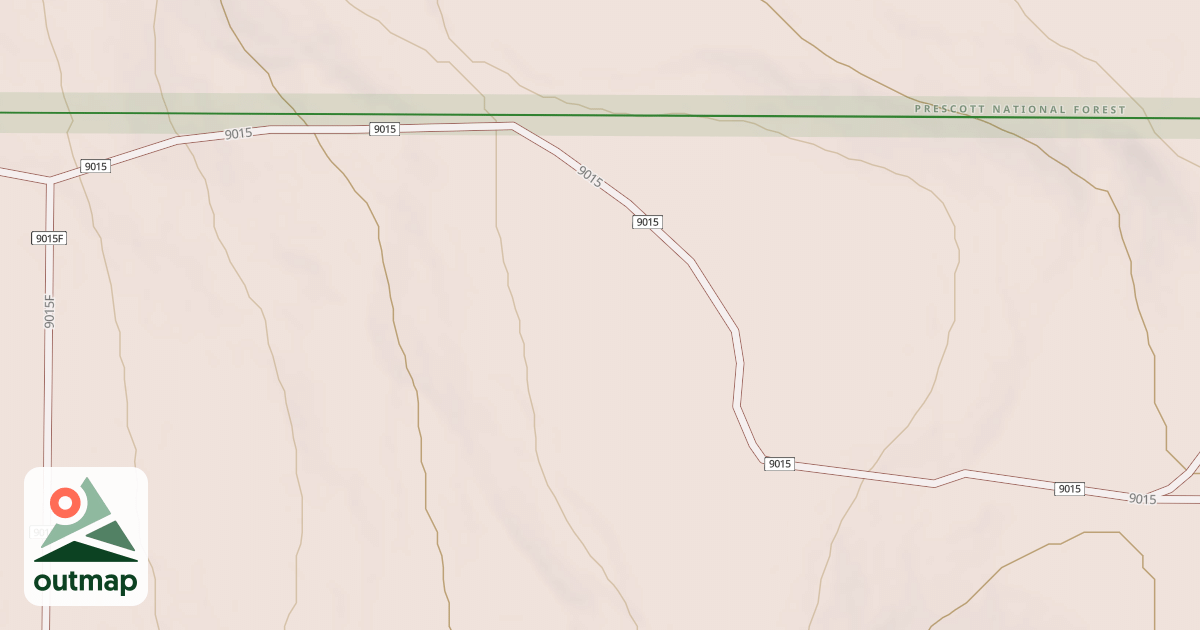 Map of BLM National GTLF Public Motorized Roads 2132c32a-97b8-4dff-ba29-082541b2ed71