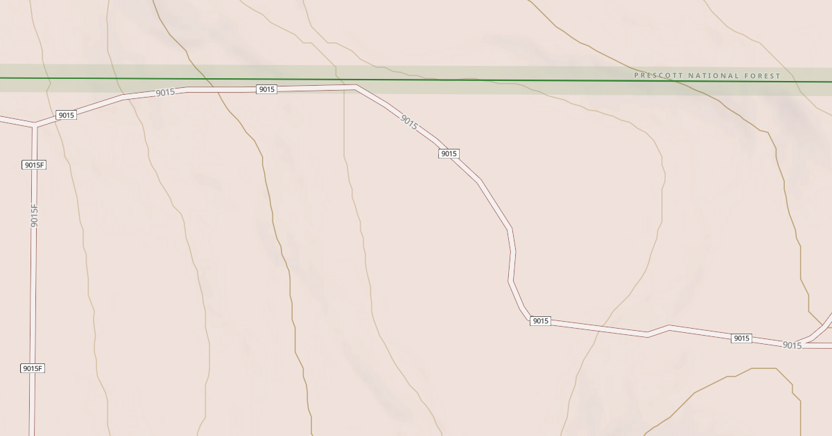 Map preview of BLM National GTLF Public Motorized Roads 2132c32a-97b8-4dff-ba29-082541b2ed71