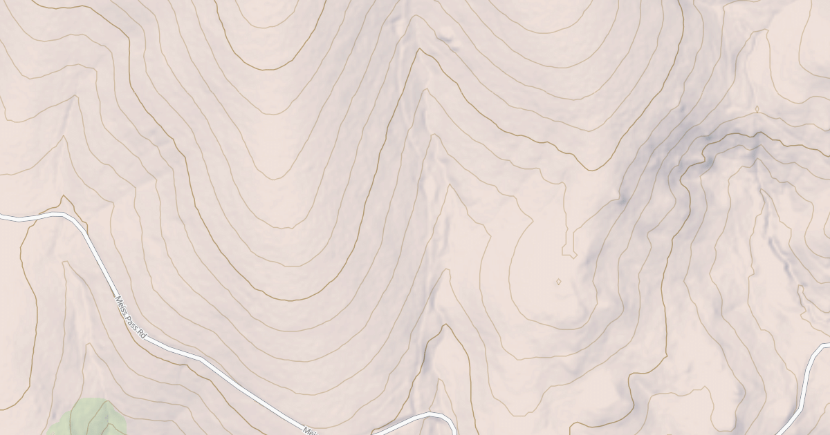 Map preview of BUCKSKIN BEES