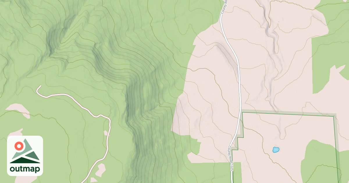 Map of USFS National Forest System Roads {0B45AF61-7209-4F65-A5AA-C1F72CE6414F}