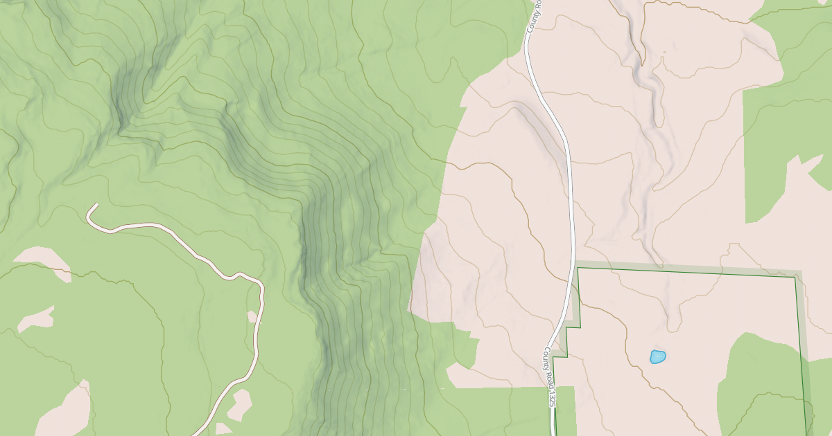 Map preview of USFS National Forest System Roads {0B45AF61-7209-4F65-A5AA-C1F72CE6414F}