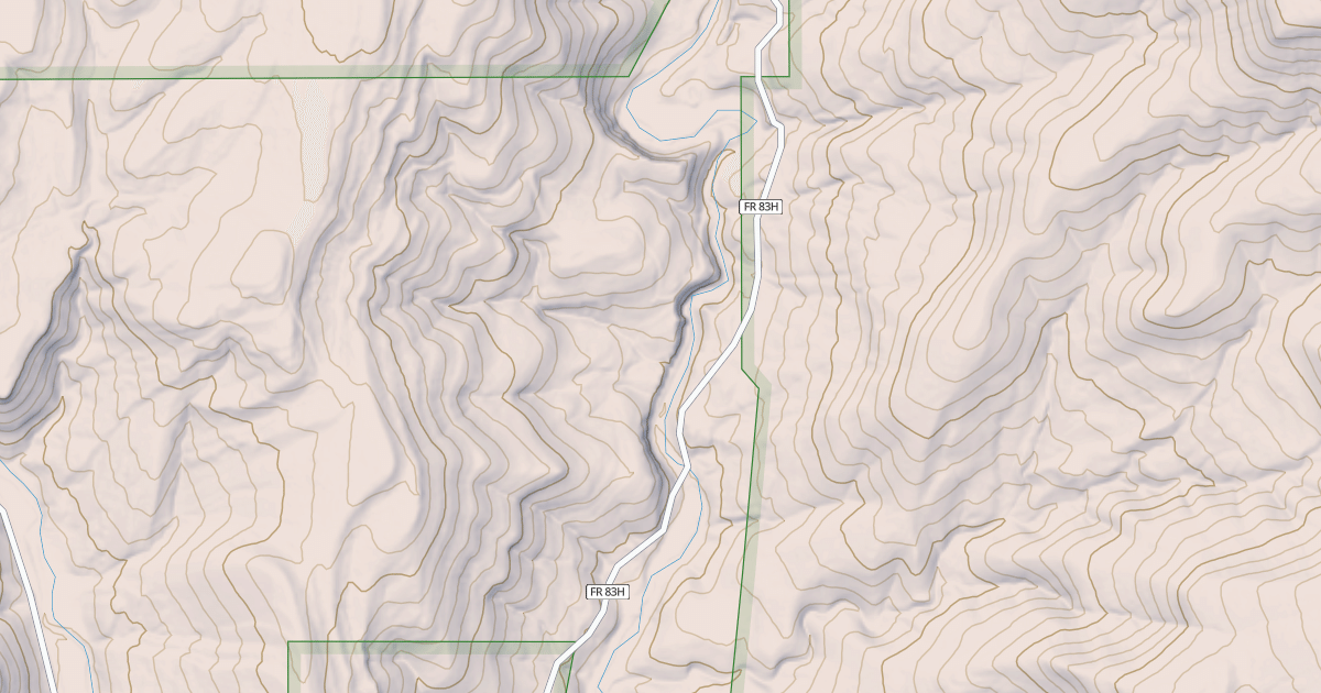 Map preview of USFS Motor Vehicle Use Map Roads {60BE8E5C-0CD9-4E1F-A66C-111DAFD25348}