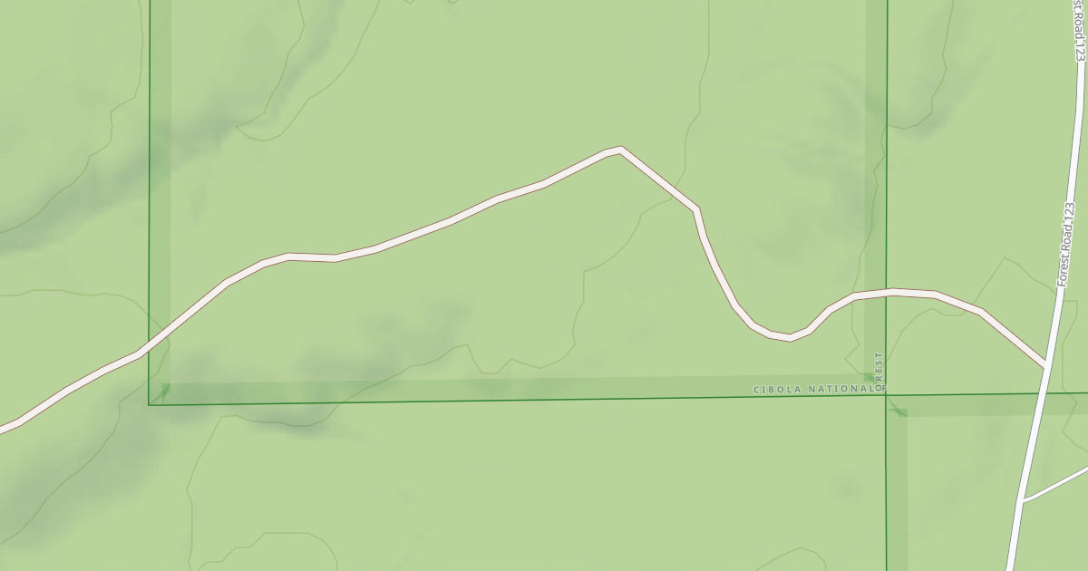 Map preview of USFS National Forest System Roads {7F550998-F293-4EA2-A515-1429A379B4E1}