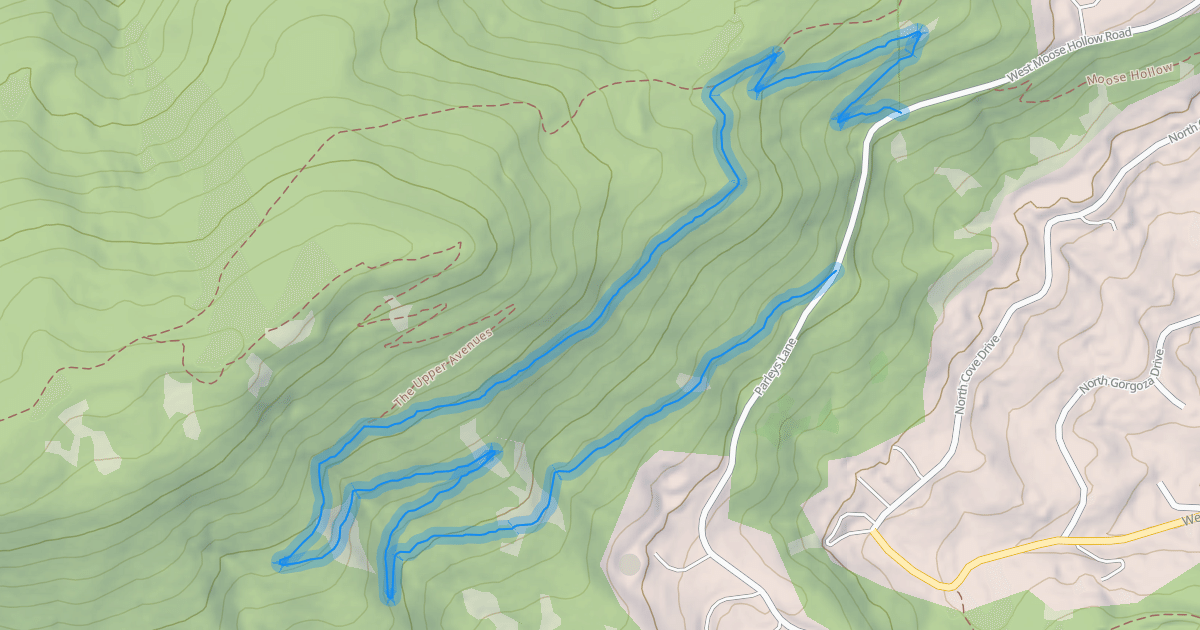 Map preview of The Avenues