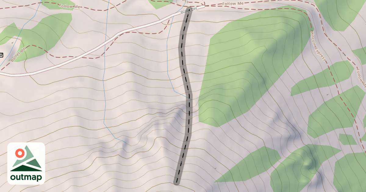 Map of Avalanche Chute 1