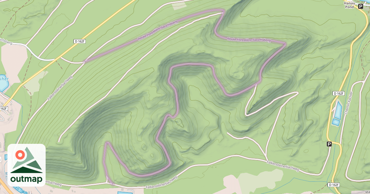 Map of Route Forestière Gauchsberg