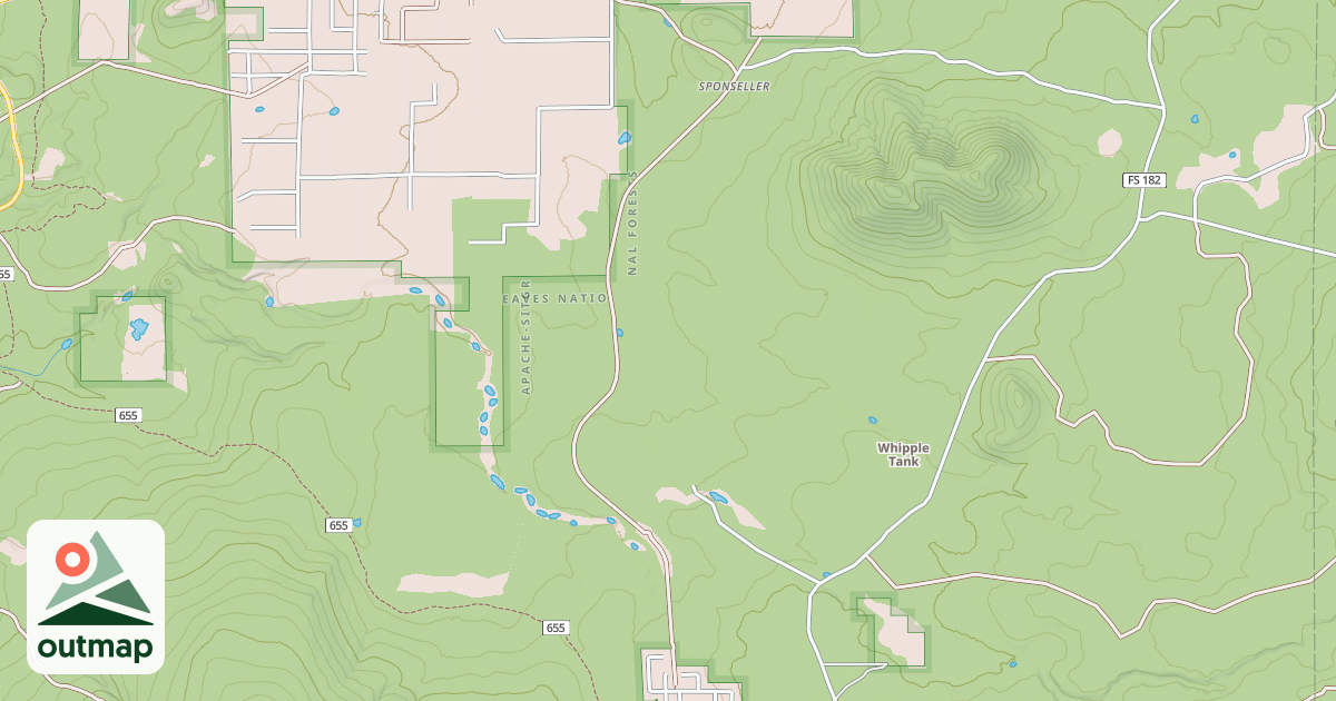 Map of USFS National Forest System Roads {53E04C3C-9C88-4B71-B1AA-FF89078D4C54}