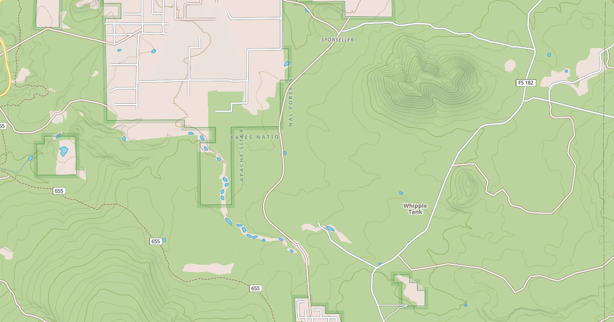 Map preview of USFS National Forest System Roads {53E04C3C-9C88-4B71-B1AA-FF89078D4C54}