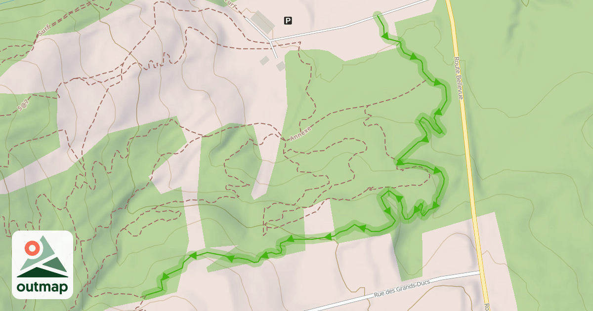 Map of La montée (Facile)