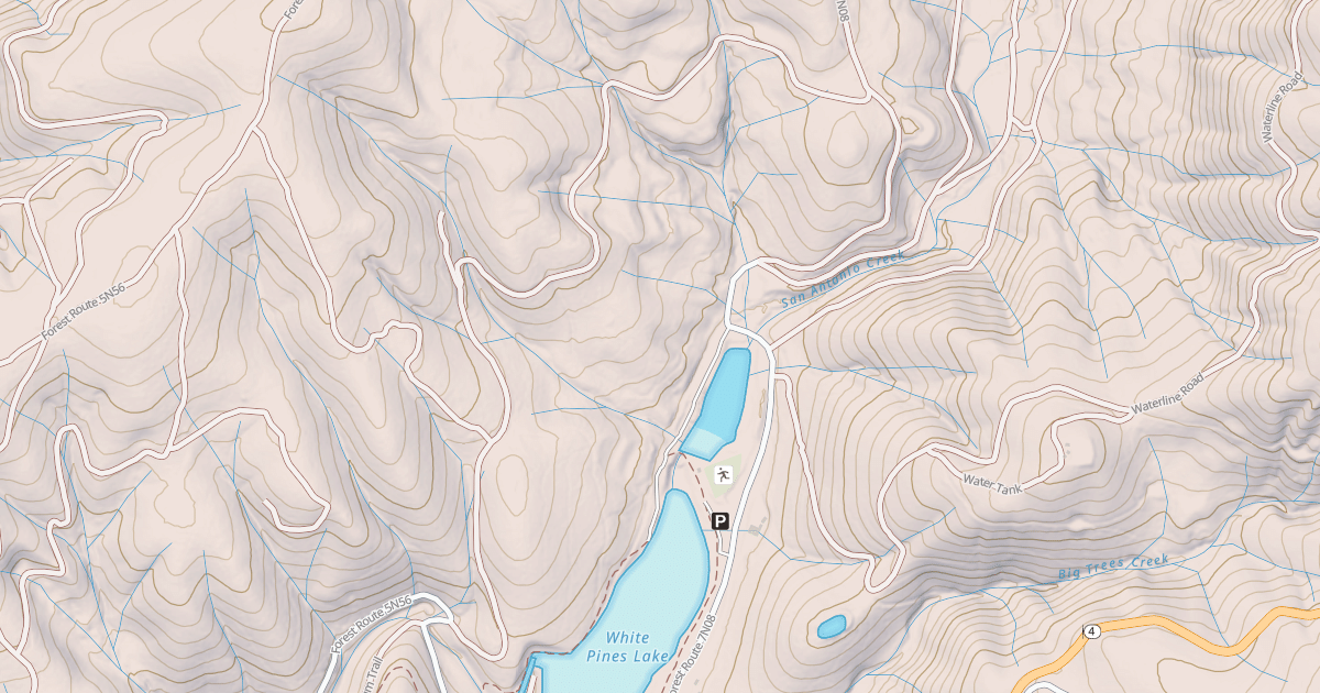 Map preview of USFS Motor Vehicle Use Map Roads {87072559-432C-4E1D-8967-9CD503A546A9}