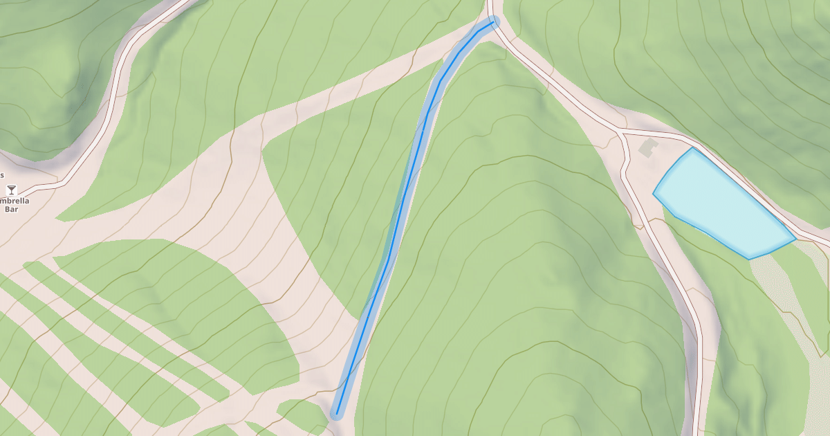 Map preview of Swing Trail