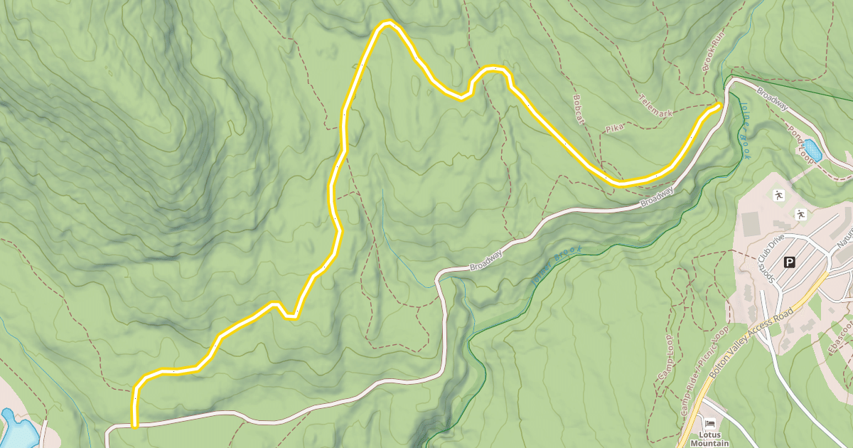Map preview of Maple Loop