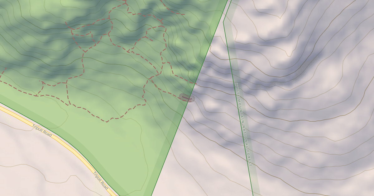 Map preview of Safe Space