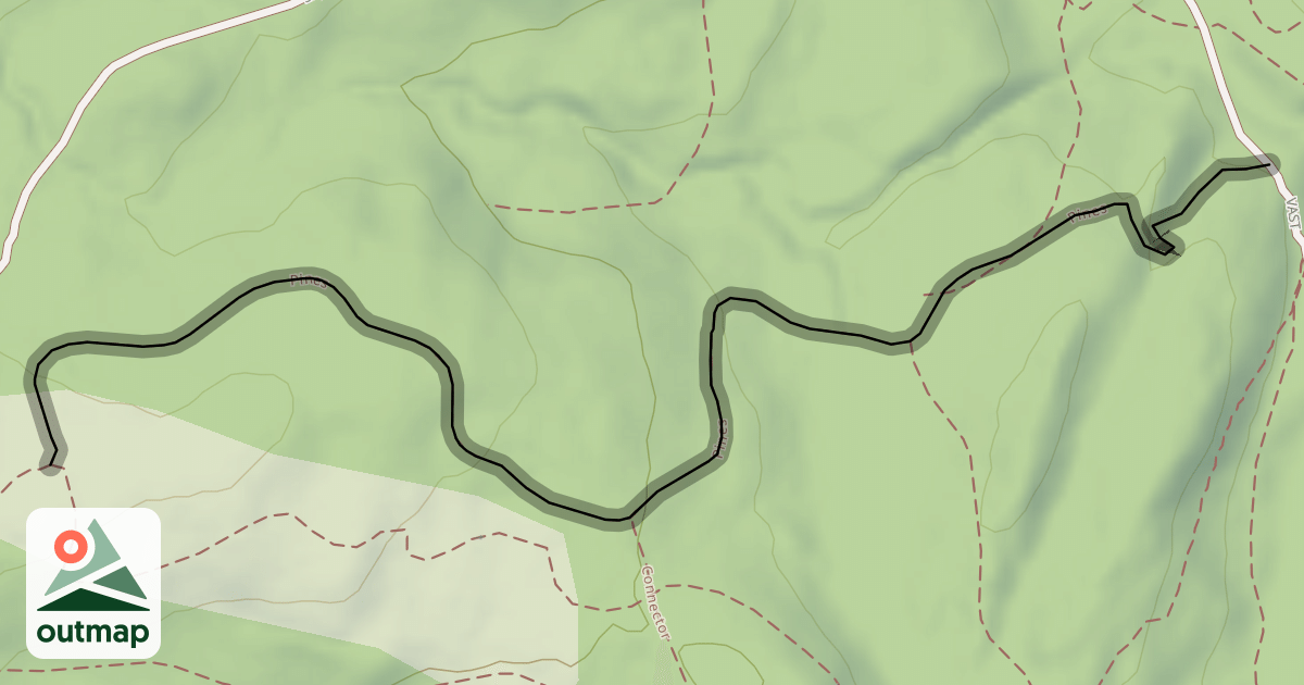 Map of Pines