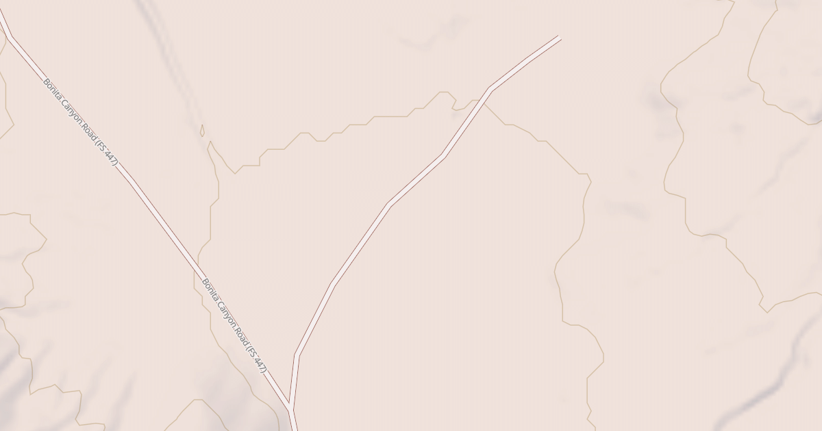 Map preview of USFS Motor Vehicle Use Map Roads {4B310EA1-7973-4875-B446-6649D68736FD}